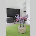 Casa Maadry Appartamento Sant'Angelo (Isola d'Ischia)