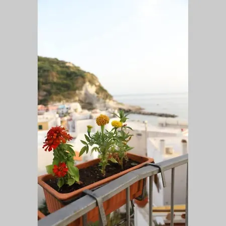 Casa Maadry Appartamento *