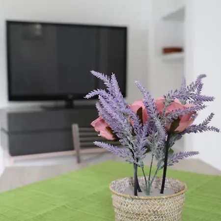 Appartement Casa Maadry *