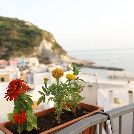 Casa Maadry Sant'Angelo (Isola d'Ischia)